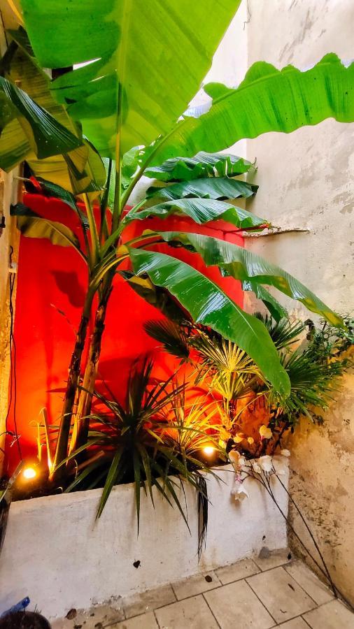 Votre Escale Jungle Sauna & Spa Niort Exterior photo